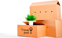 В Украине запустили сервис доставки посылок с помощью путешественников