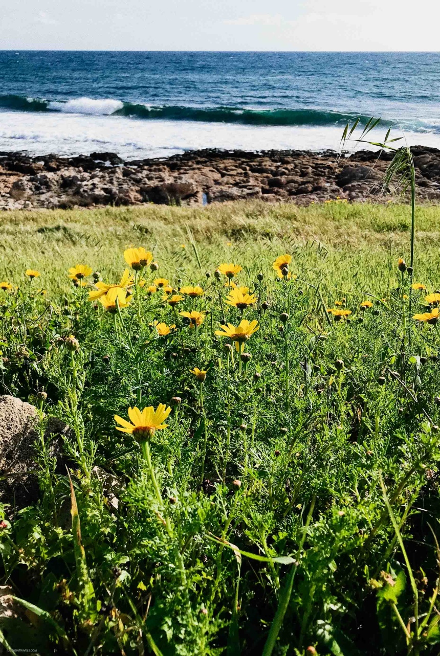 Перезагрузка на Кипре: город Пафос и окрестности (2)