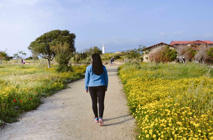 Перезагрузка на Кипре: город Пафос и окрестности (5)