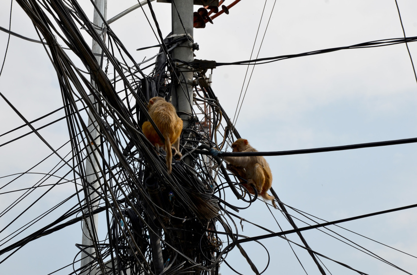 Непал или Крыша мира (45)