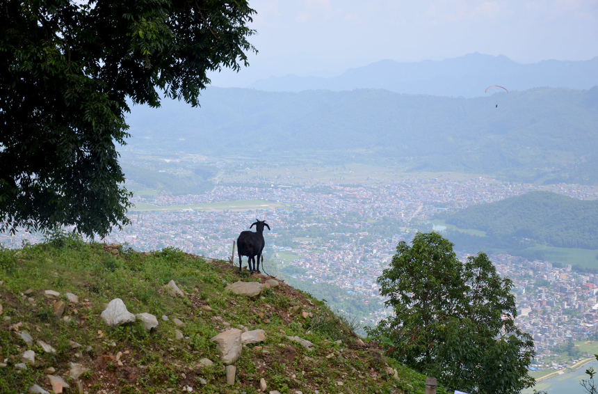 Непал или Крыша мира (50)