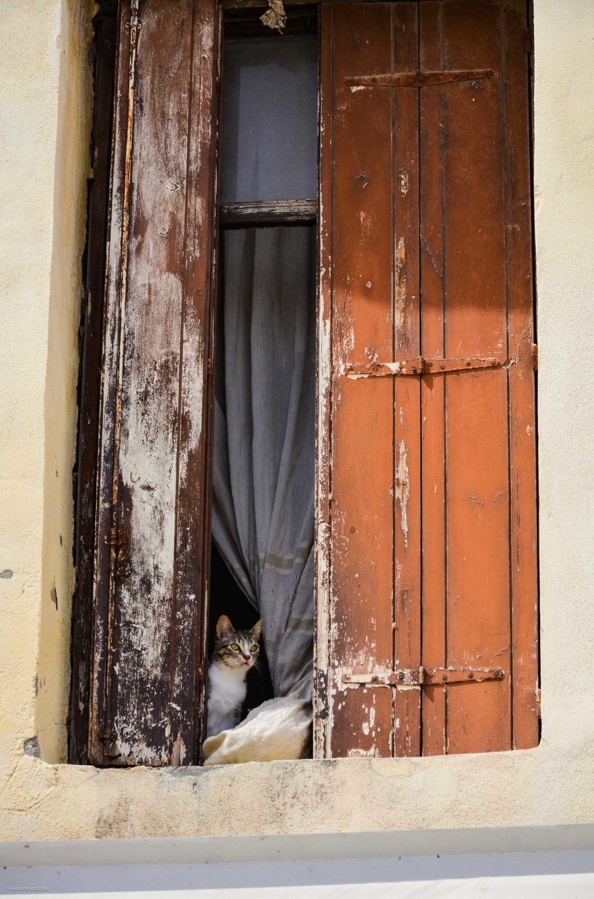 8 причин включить греческий город Ханья на Крите в свой список путешественника (12)