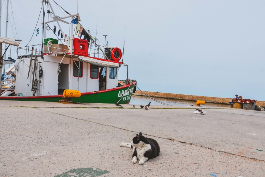8 причин включить греческий город Ханья на Крите в свой список путешественника (31)