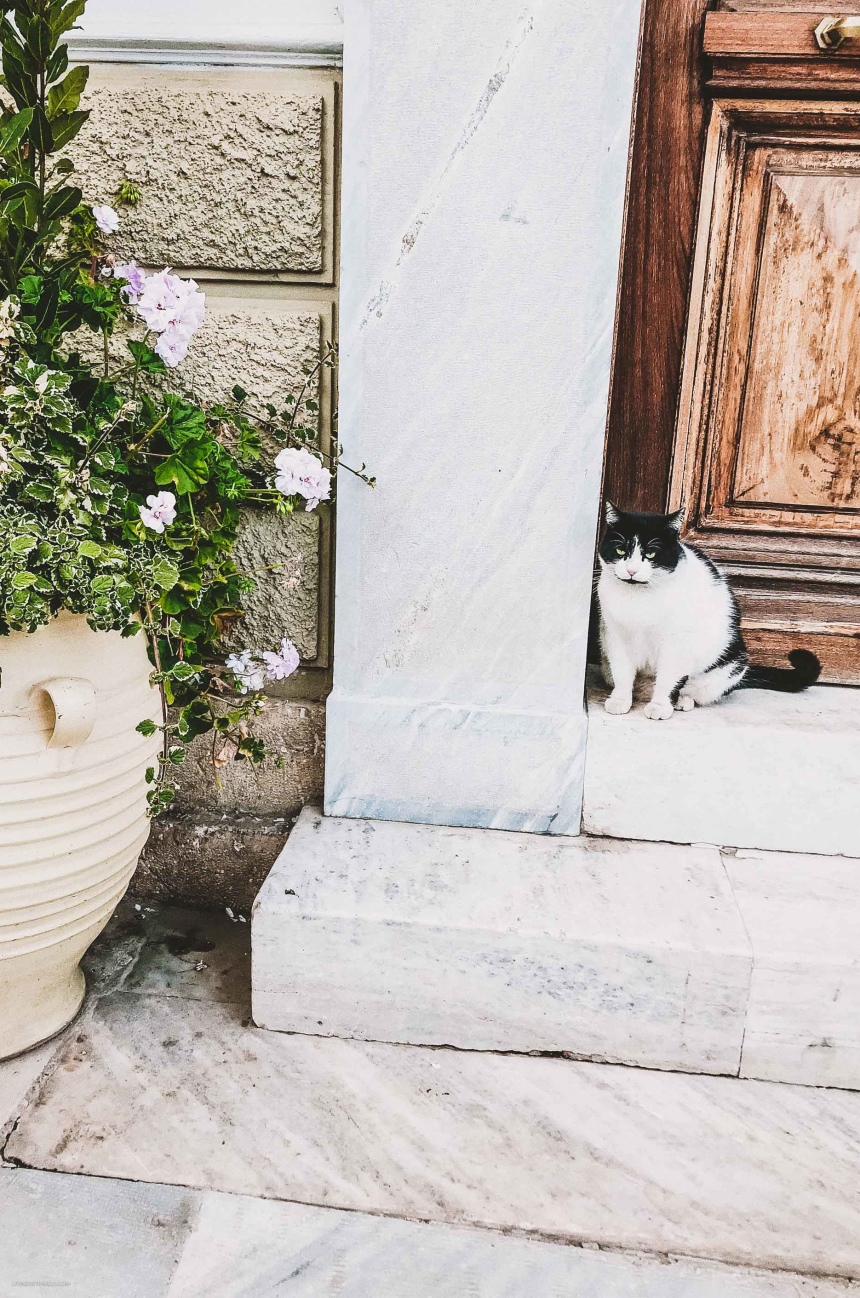 24 часа в Афинах: куда сходить и что посмотреть (18)