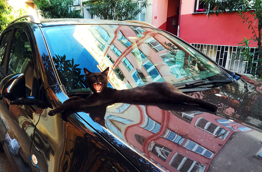 Как заплатить адекватные деньги за такси из аэропорта или что такое Uber (2)