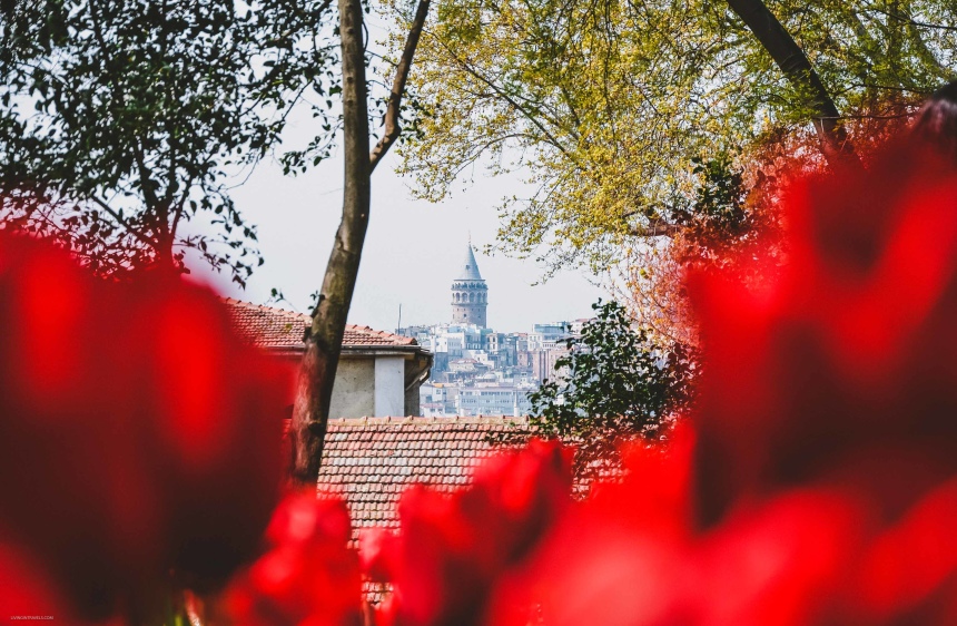 10 причин почему я не люблю Стамбул (15)