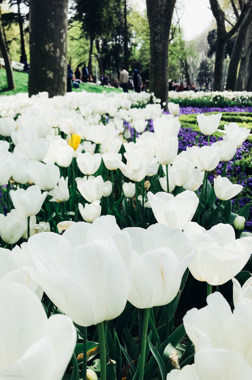 10 причин почему я не люблю Стамбул (17)