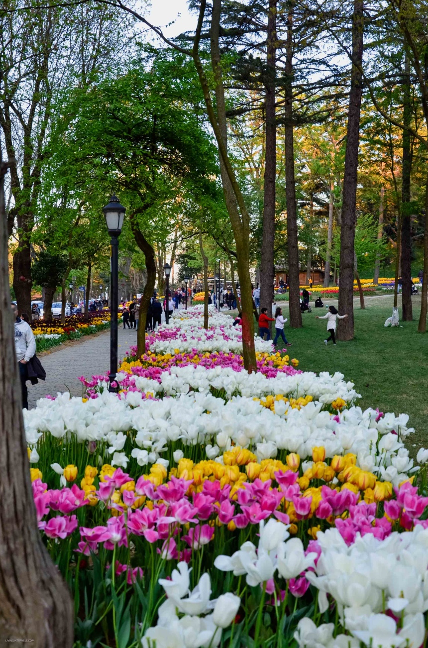 10 причин почему я не люблю Стамбул (22)