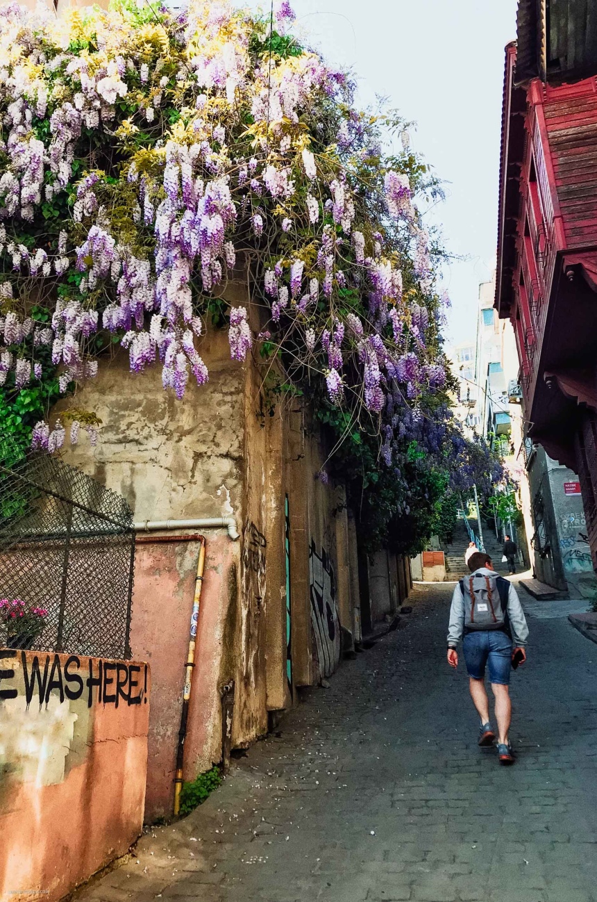 10 причин почему я не люблю Стамбул (31)