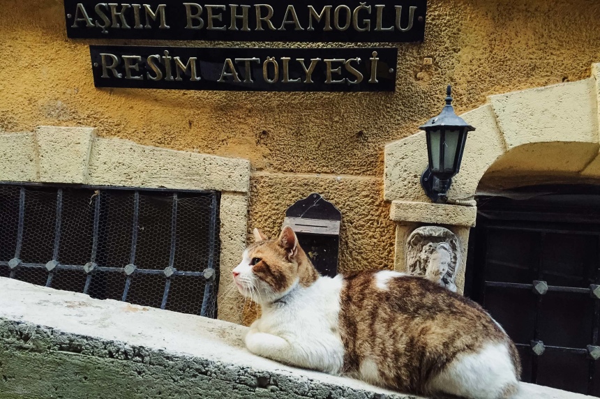 10 причин почему я не люблю Стамбул (36)