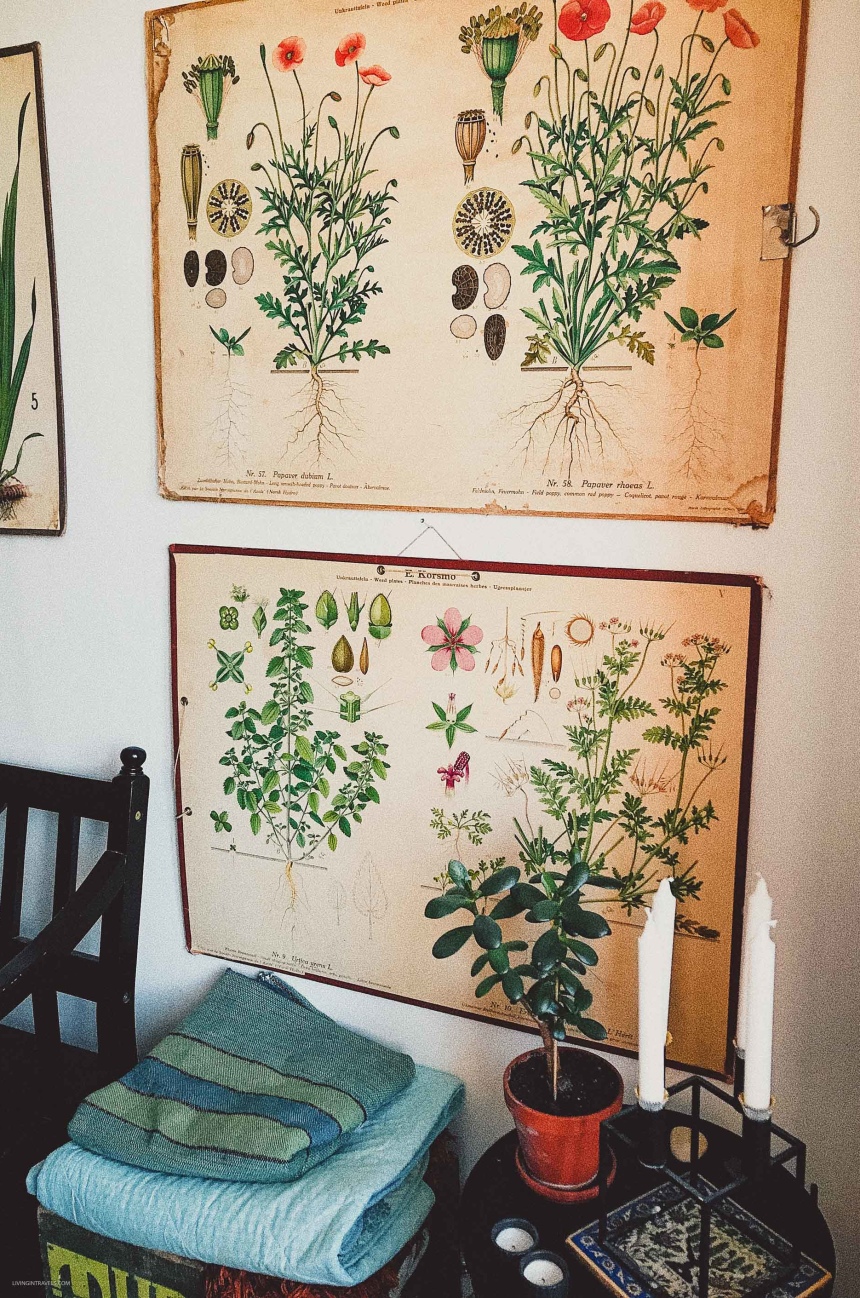 Дания: увидеть Копенгаген за 48 часов (и сэкономить) (5)