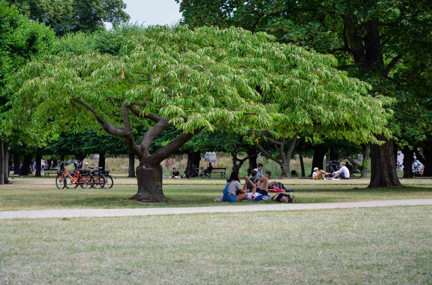Дания: увидеть Копенгаген за 48 часов (и сэкономить) (23)