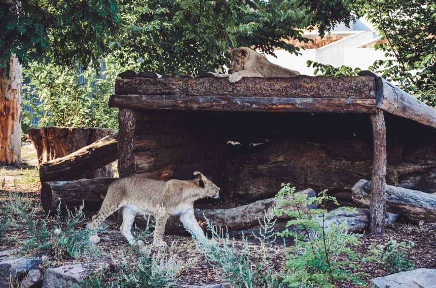 Дания: увидеть Копенгаген за 48 часов (и сэкономить) (36)
