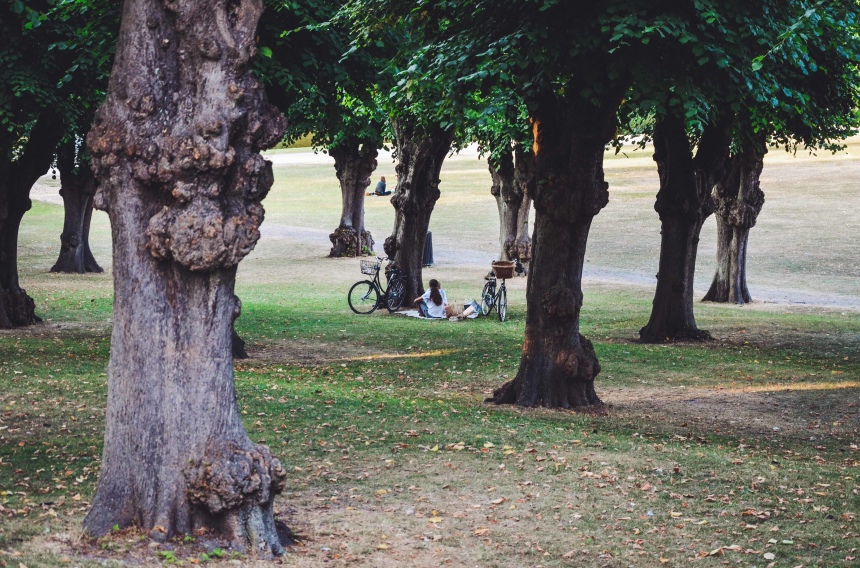 Дания: увидеть Копенгаген за 48 часов (и сэкономить) (44)