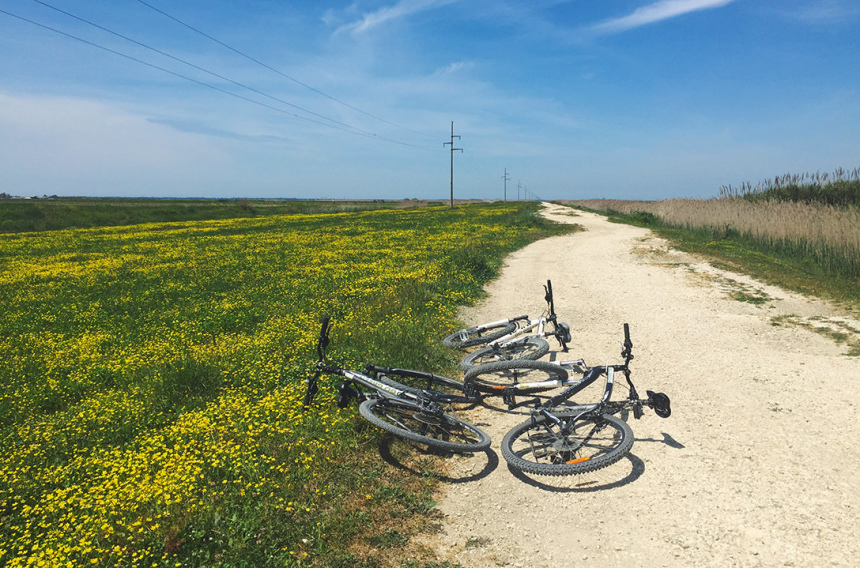 10 вещей, которые нужно сделать, отправляясь в другую страну (9)