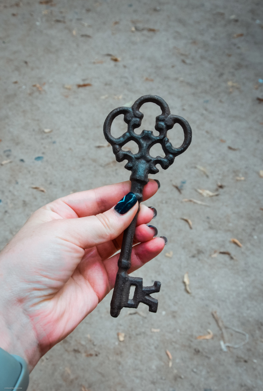 Блошиный рынок Брюгге или что везти домой кроме бельгийского пива (4)