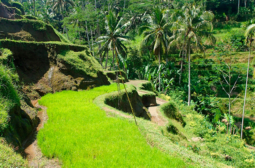 25 популярных направлений для цифровых кочевников (23)