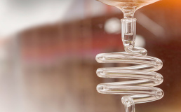 Финский стартап разработал новую технологию получения белка для колонизаторов Марса