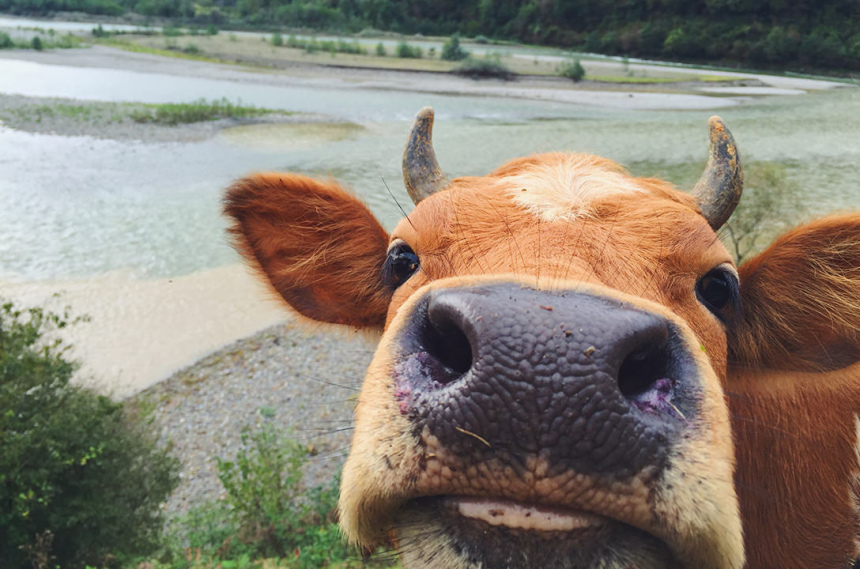 Граждане мира или интервью для журнала OnAir (2)