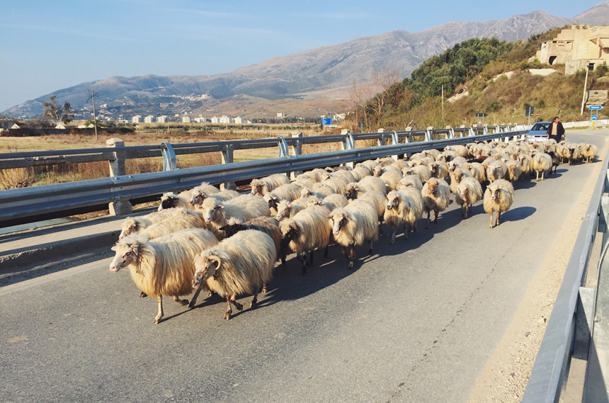 Граждане мира или интервью для журнала OnAir (9)