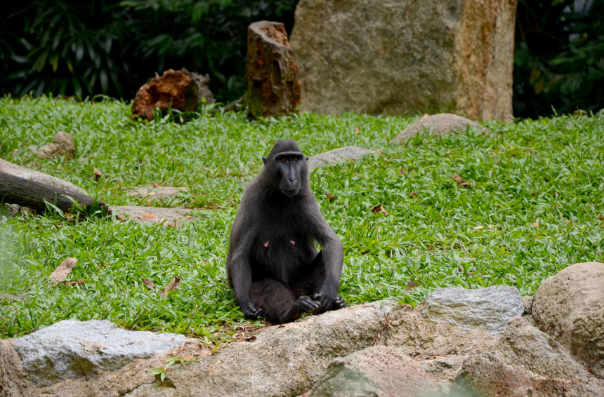 17 ошибок путешественников, которые нужно прекратить делать (4)