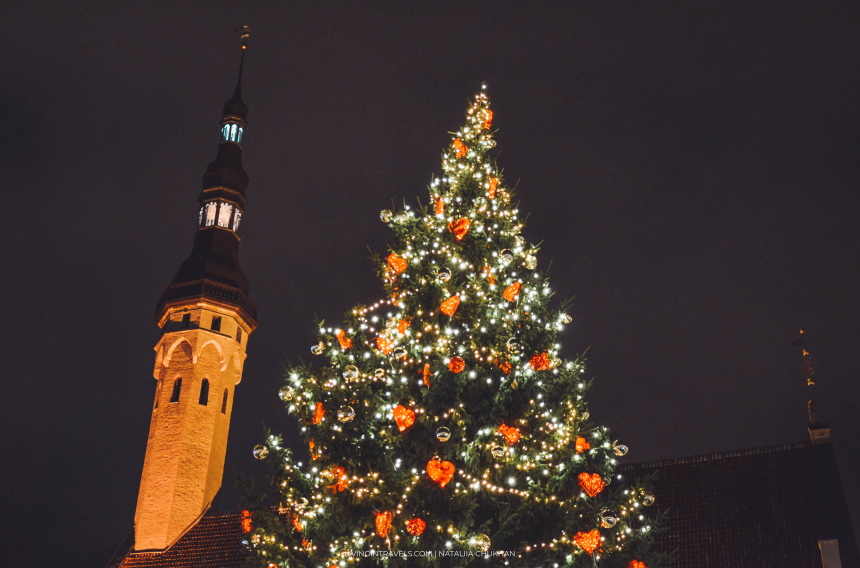Рождественская ярмарка Таллинна: что купить и что попробовать (33)