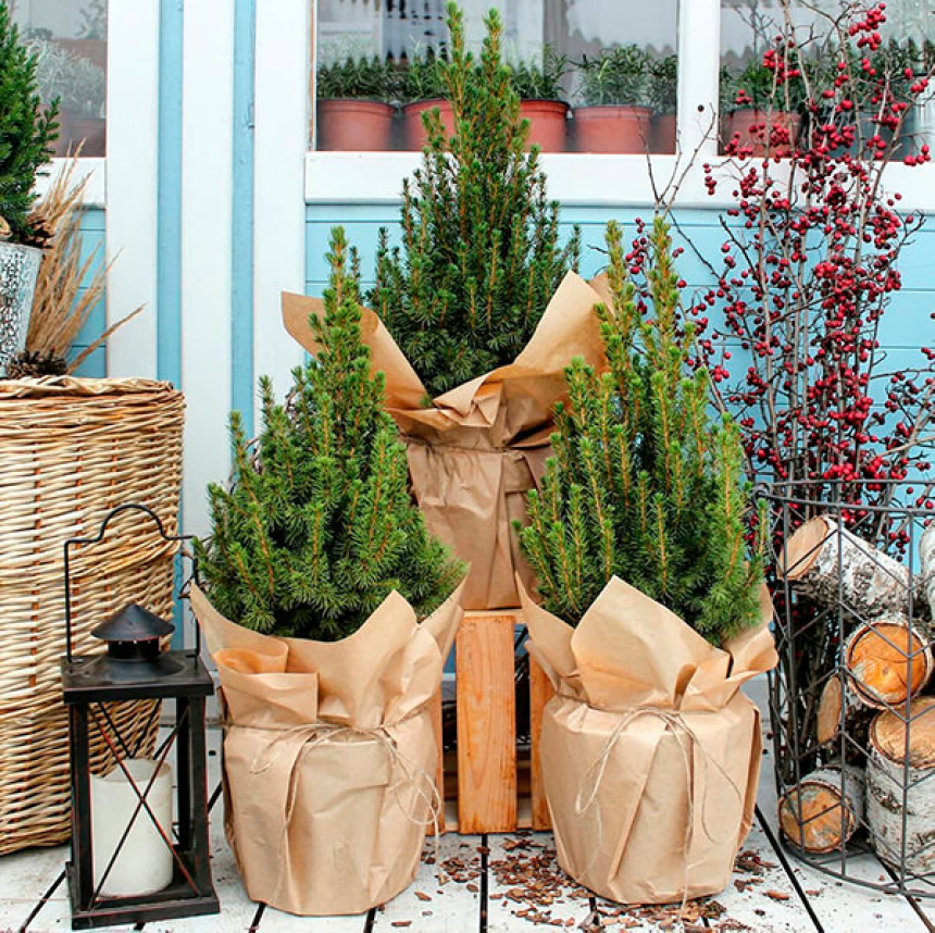 13 классных новогодних подарков для людей, влюбленных в путешествия (и не только) (22)