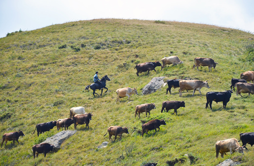В Армении - как дома или почему стоит увидеть страну? (30)