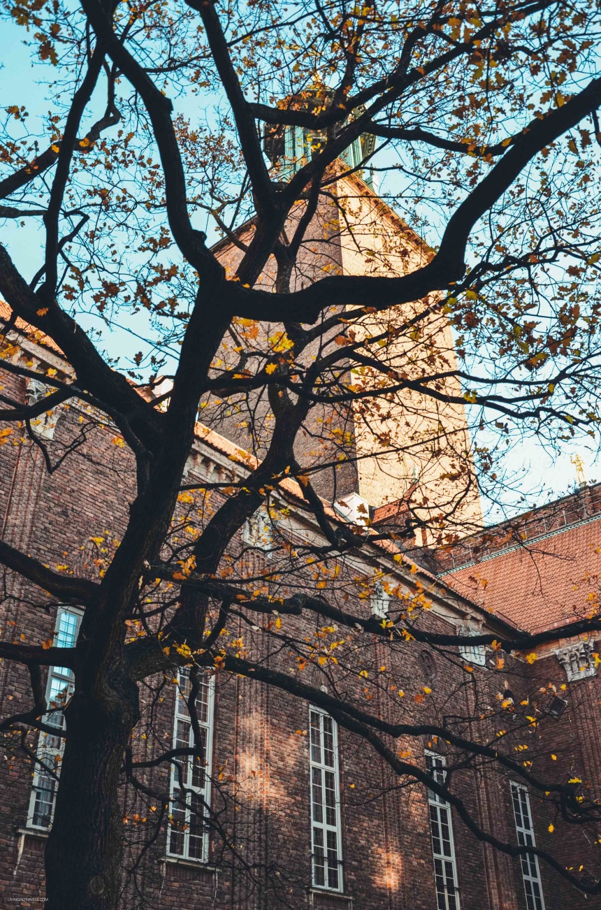 На выходные в Стокгольм: куда идти и что смотреть (20)