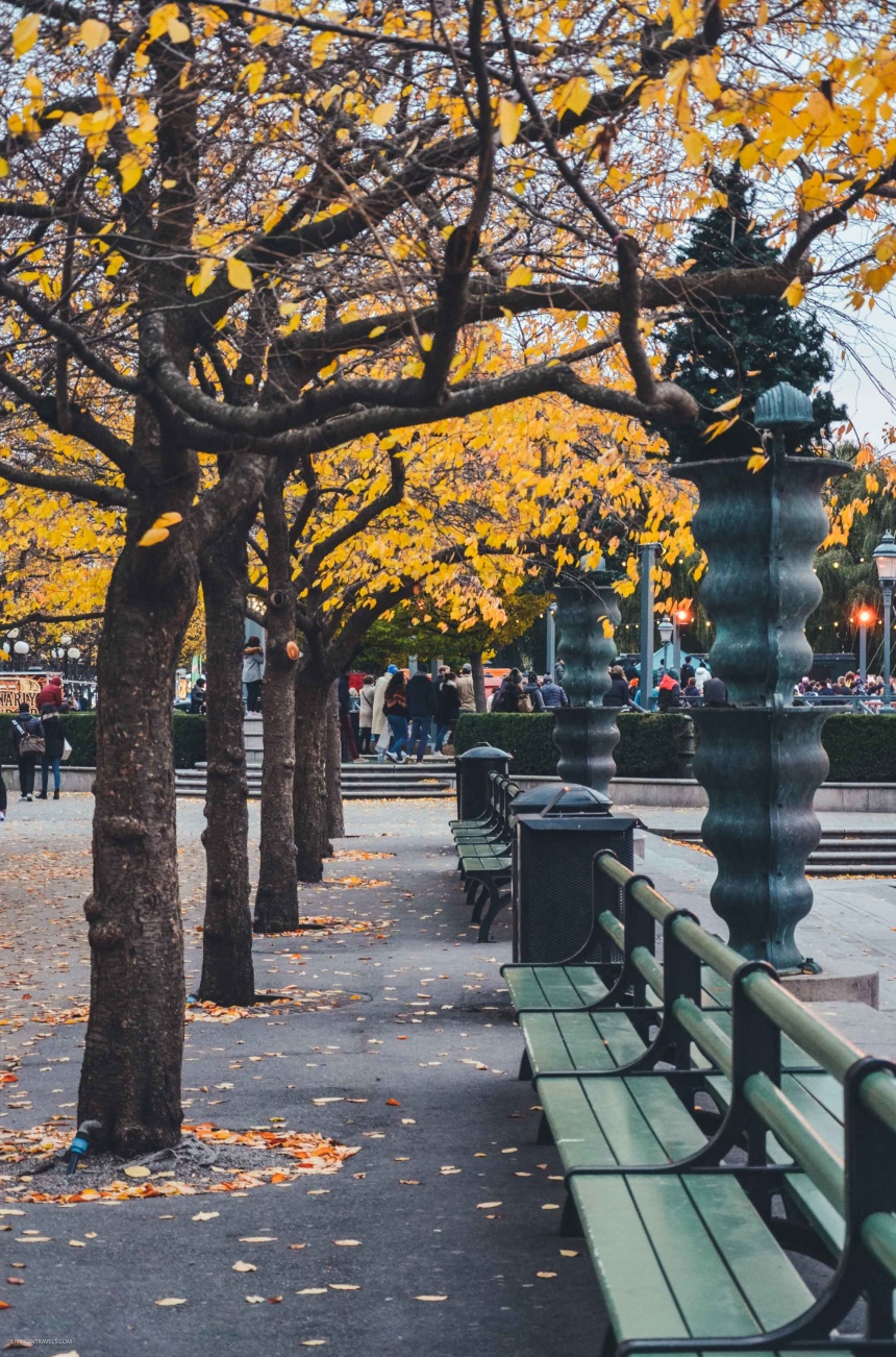 На выходные в Стокгольм: куда идти и что смотреть (5)