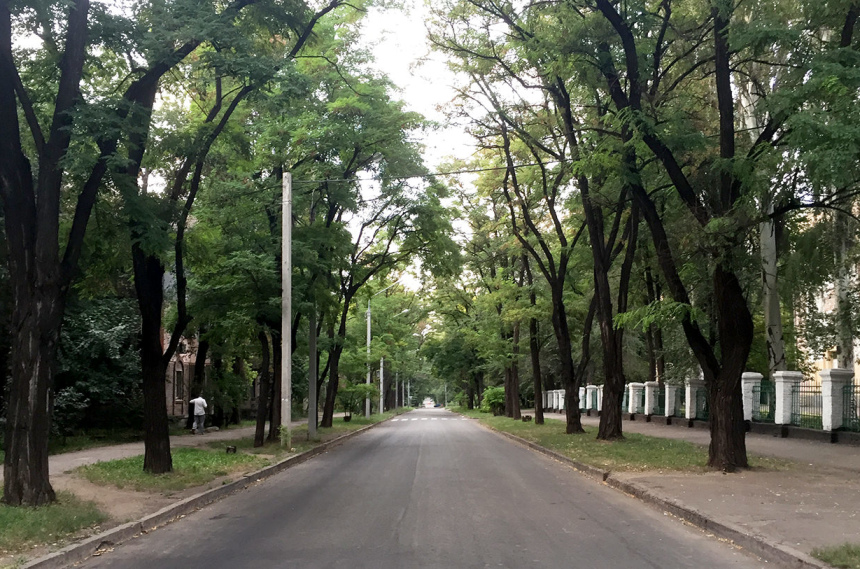 Два года в путешествии. Что изменилось дома? (5)