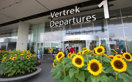 Расписание рейсов в аэропорту Схипхол изменится из-за ремонта ВПП