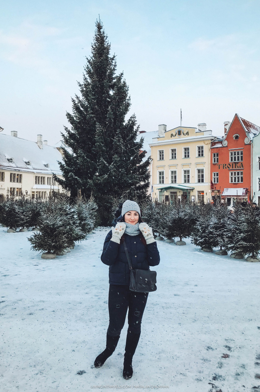 Наш переезд в другую страну: почему Эстония? (4)