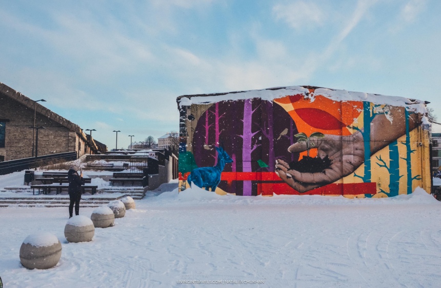 Наш переезд в другую страну: почему Эстония? (19)