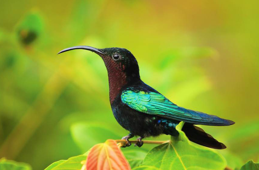 10 стран, которые нельзя не посетить в 2017 году (4)