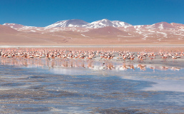 Боливия оказалась лидером по количеству номинаций World Travel Awards