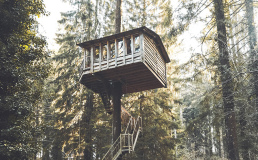 Выбраны лучшие впечатления, которые стоит добавить в список путешествий