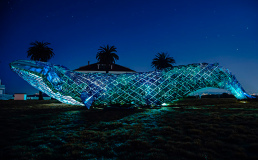 В США создали рекордных размеров скульптуру из пластика