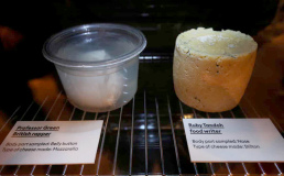 В лондонском музее показывают сыр из бактерий с тела знаменитостей