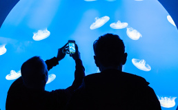 В Японии будут проводить подводные туры в погружной капсуле