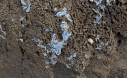 У берегов Португалии нашли новый вид пластикового загрязнения