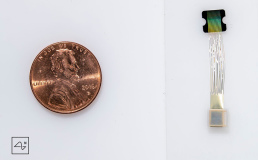 Стартап Илона Маска разработал мозговые импланты для парализованных людей