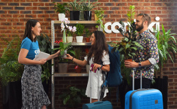 Создан сервис по уходу за комнатными растениями, пока владельцы в отпуске