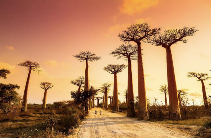 Что говорит Зодиак о вашем следующем путешествии (9)