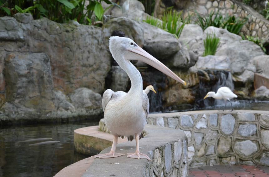 Три недели в Куала Лумпуре (13)