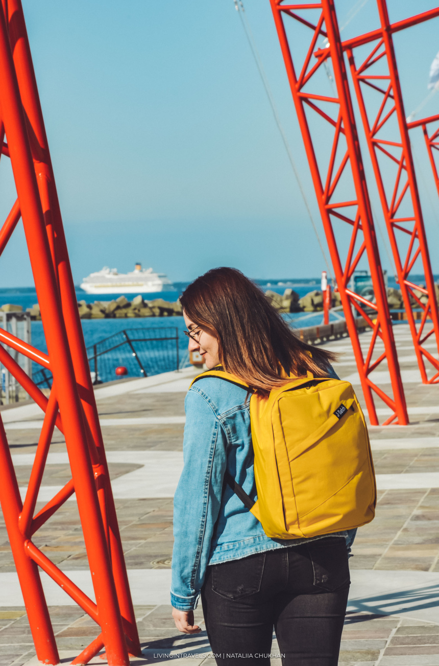 Летать лоукостерами: найден удобный рюкзак для путешественников-минималистов (2)