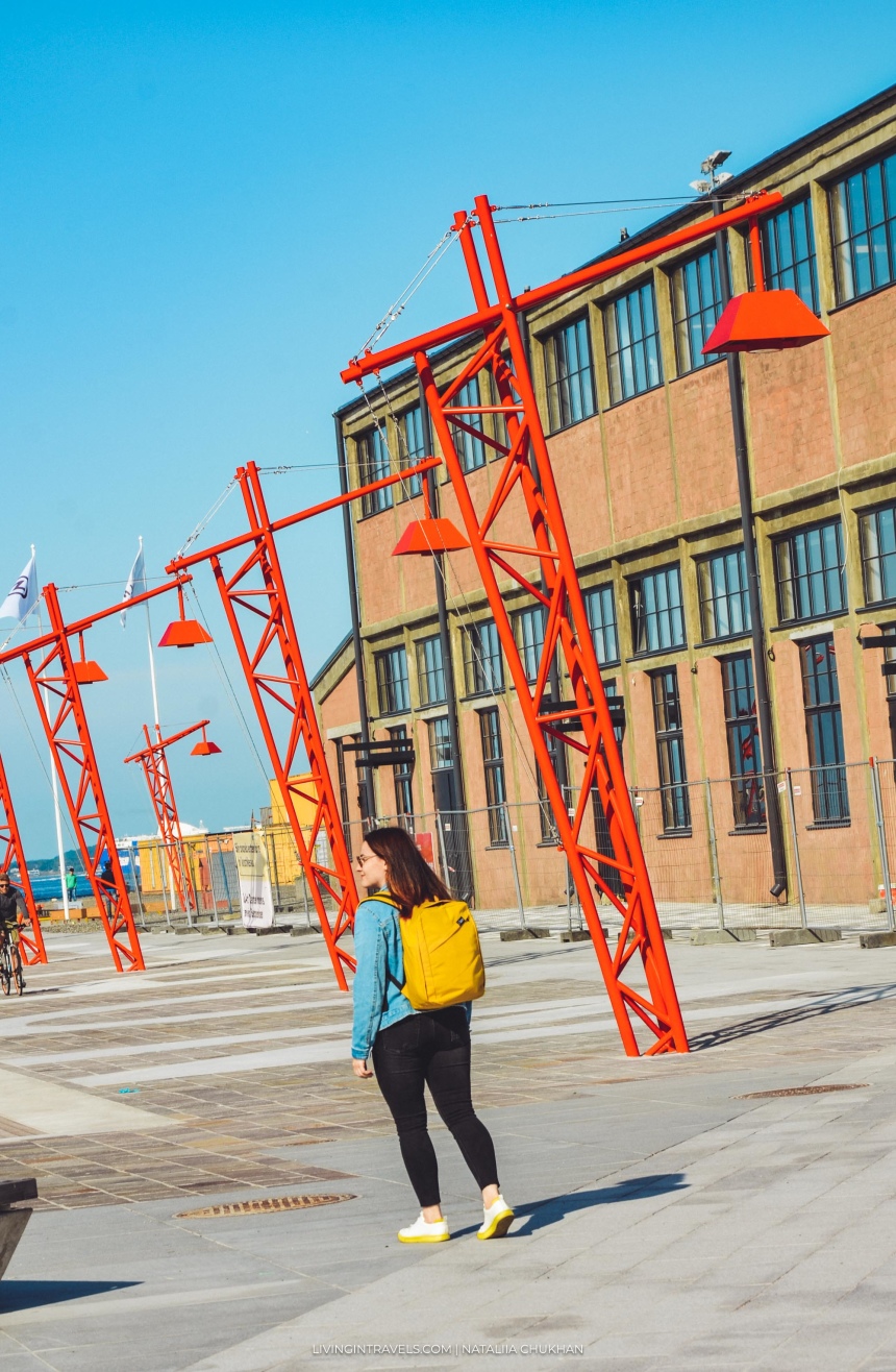 Летать лоукостерами: найден удобный рюкзак для путешественников-минималистов (8)