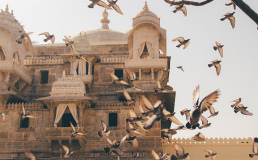 Индия запретила одноразовый пластик в радиусе 100 метров от достопримечательностей