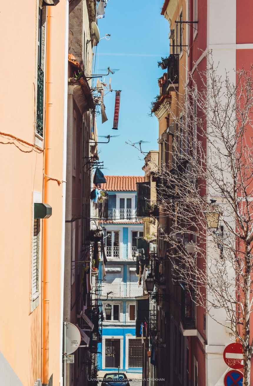 Блошиный рынок Feira da Ladra в Лиссабоне (10)