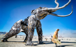 Скульптуры с фестиваля Burning Man начали выставлять по всему США